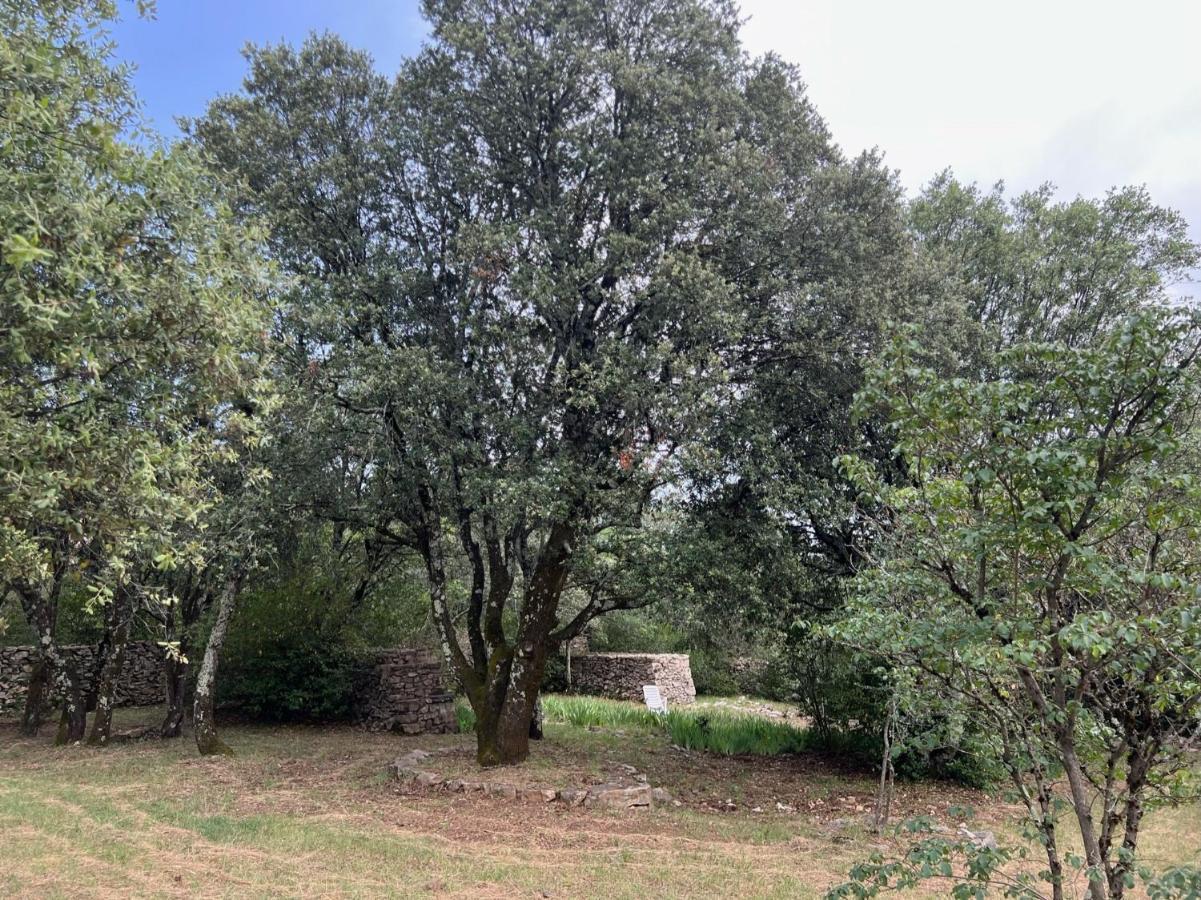 Вилла Luxurious Family House With Pool In Ardeche. Ле-Ван Экстерьер фото